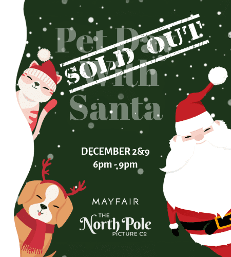 Pet Photo With Santa – SOLD OUT