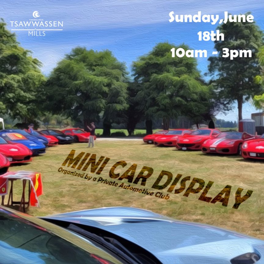 Mini Car Display | Tsawwassen Mills